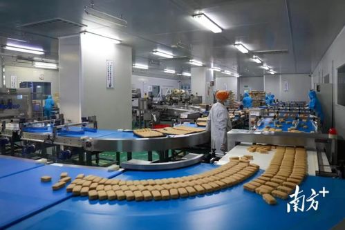 東莞市政府發(fā)布2022年一號(hào)文，大力推動(dòng)數(shù)字經(jīng)濟(jì)高質(zhì)量發(fā)展與金融服務(wù)深度融合